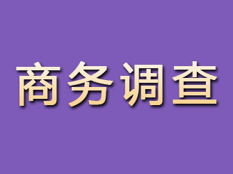 临河商务调查